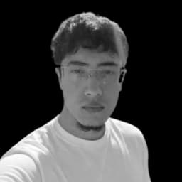 Ababii Vicu